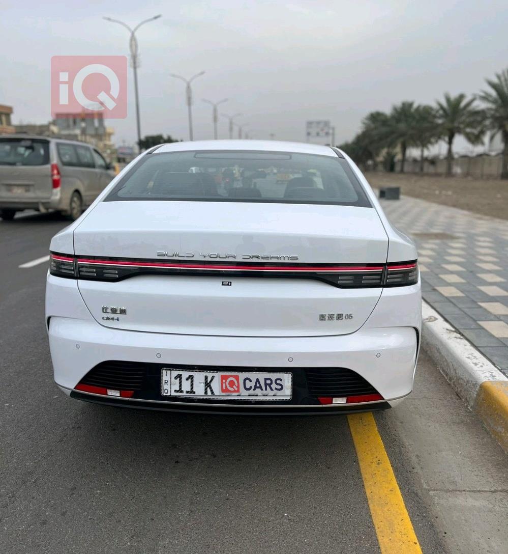 بي واي دي ديستروير 05